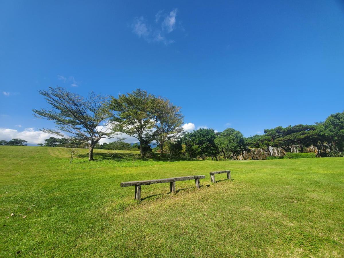 花莲市 美侖大飯店酒店 外观 照片 View of the park